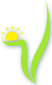 NOA